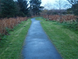 Image on trail
